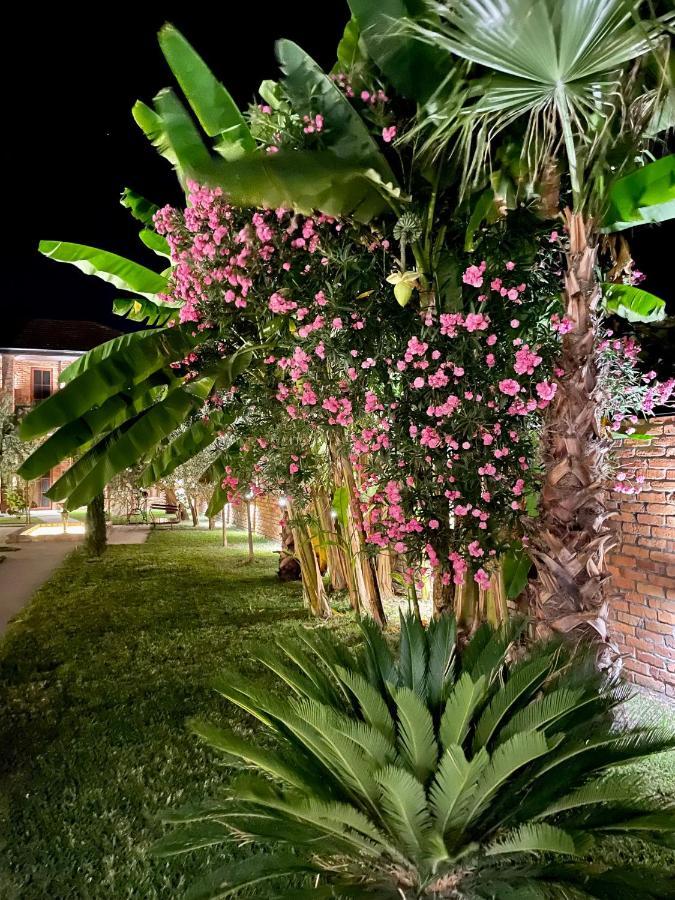 Loft Garden Lejlighed Sukhumi Eksteriør billede